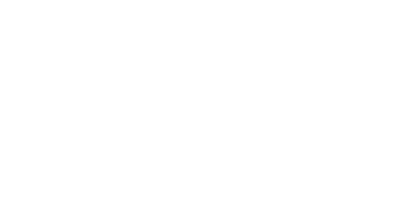 DFI Inc. Logo